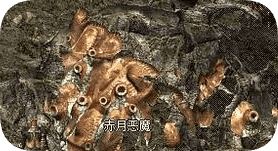 老传奇玩家口述：一根蜡烛加一个墙角，怎样独自收拾赤月恶魔