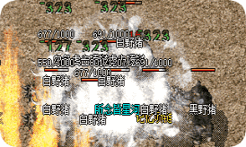 新手必看魔域之地行走技巧