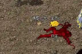 尸王殿祖玛阁走法没背熟，复古传奇私服真玩不动